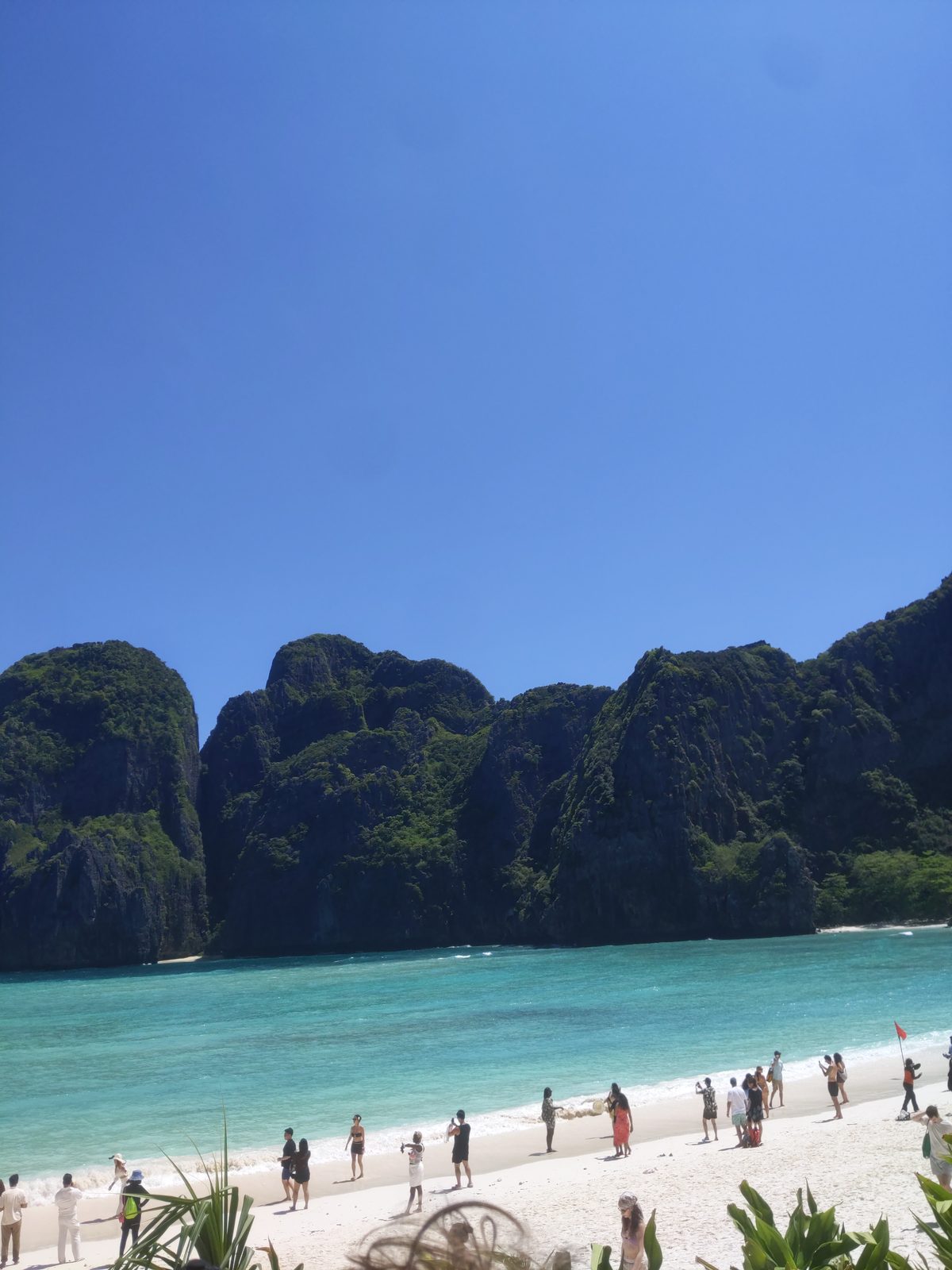 Maya Bay panorama Krabi